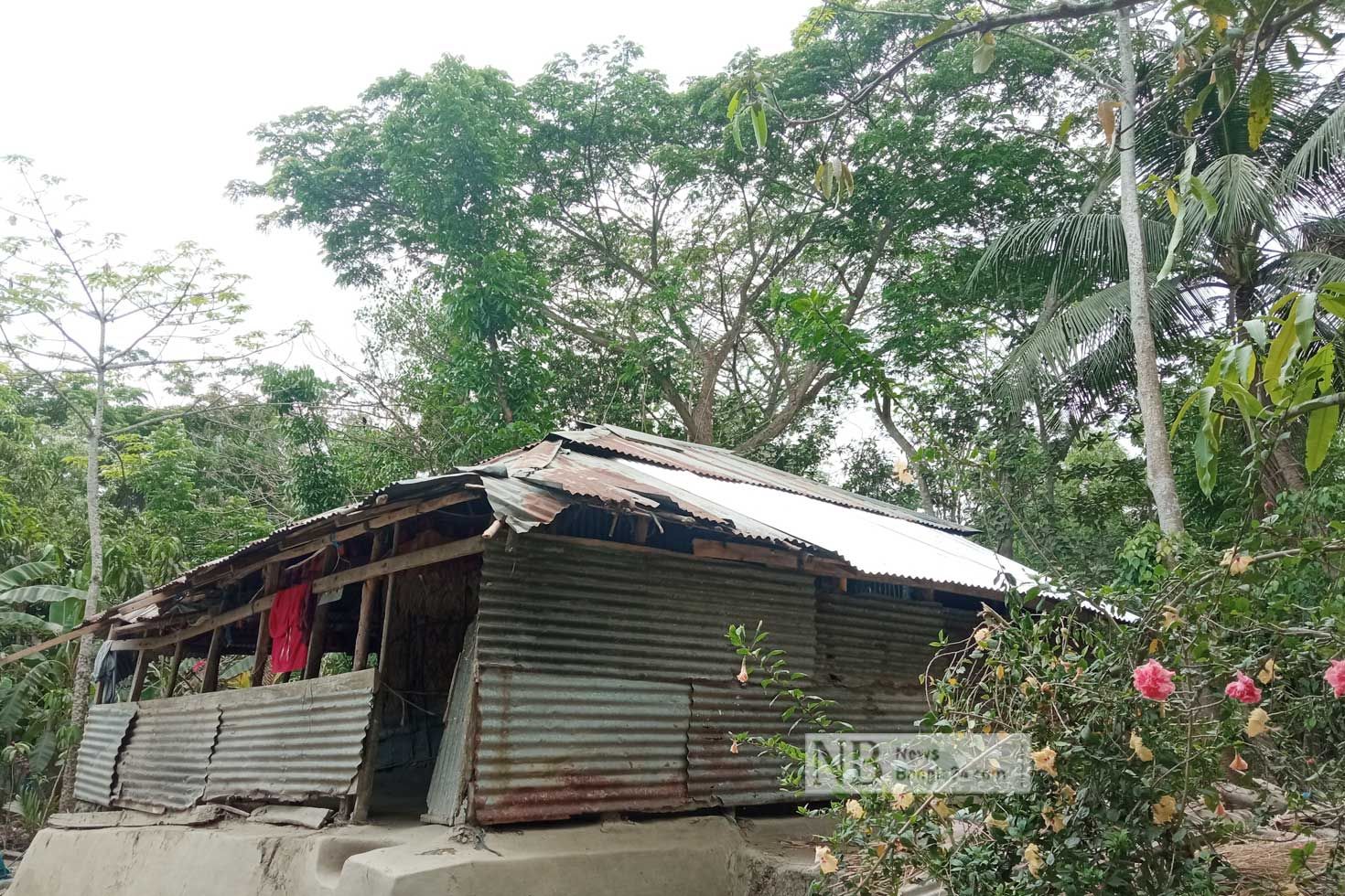 হিন্দু পরিবারে হামলা: আমরবুনিয়া গ্রামে আতঙ্ক