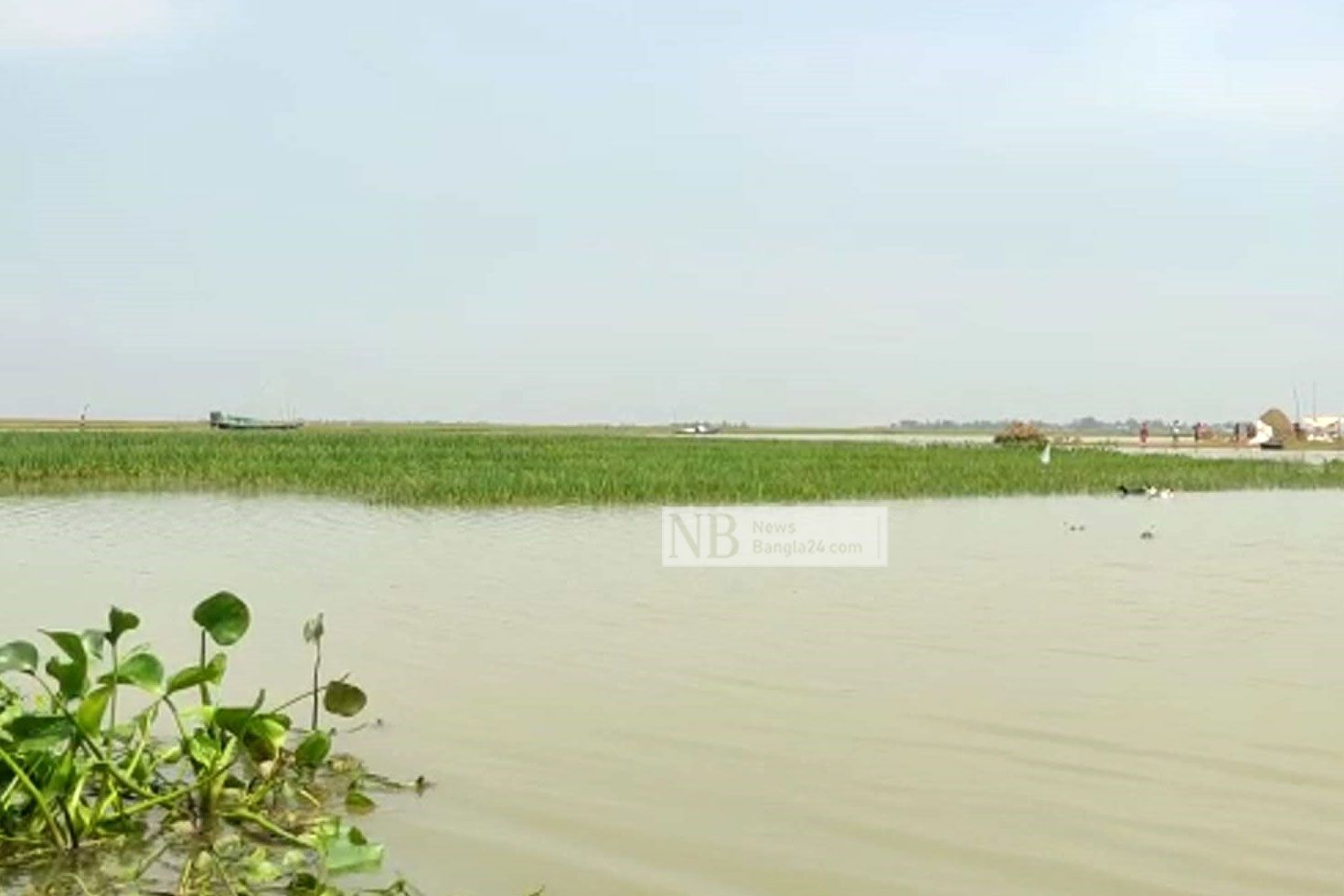 বেড়েছে সুতাং-ধলেশ্বরীর পানি, ডুবল ৫০ হেক্টর জমি