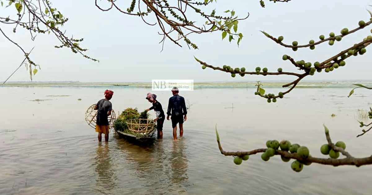 এখন-আমরা-খাব-কী?