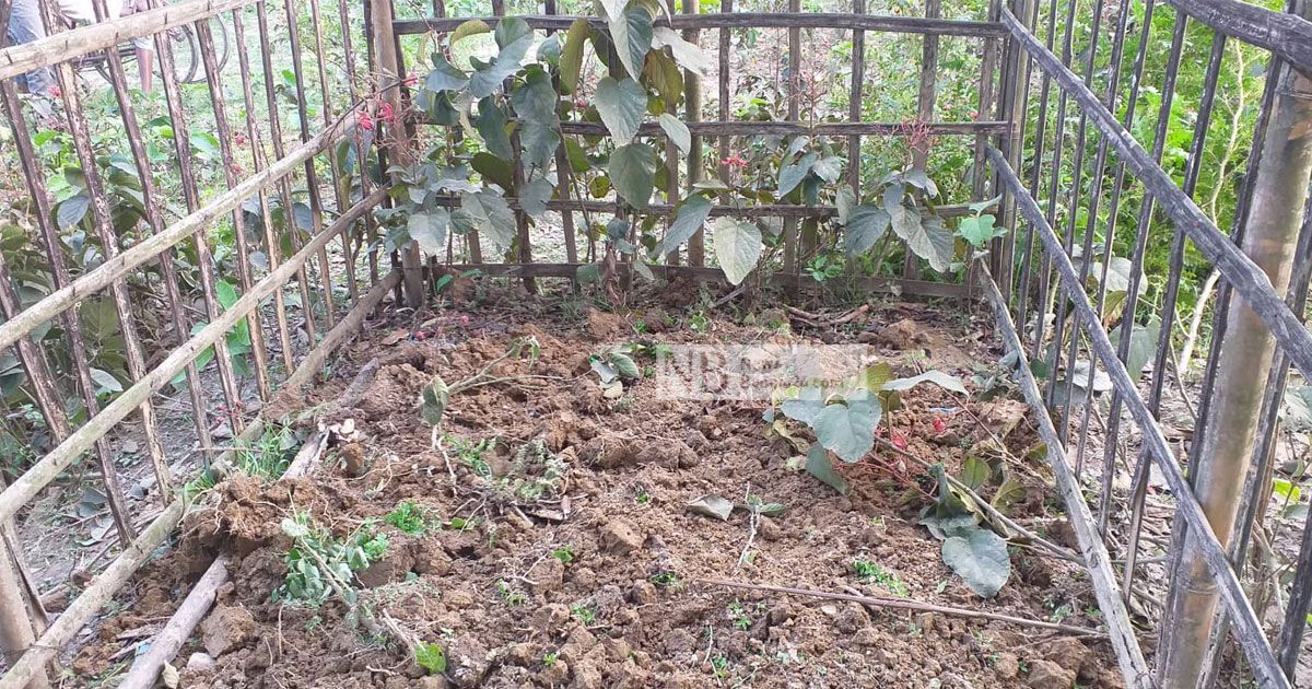 কবর-থেকে-১৫-কঙ্কাল-চুরি