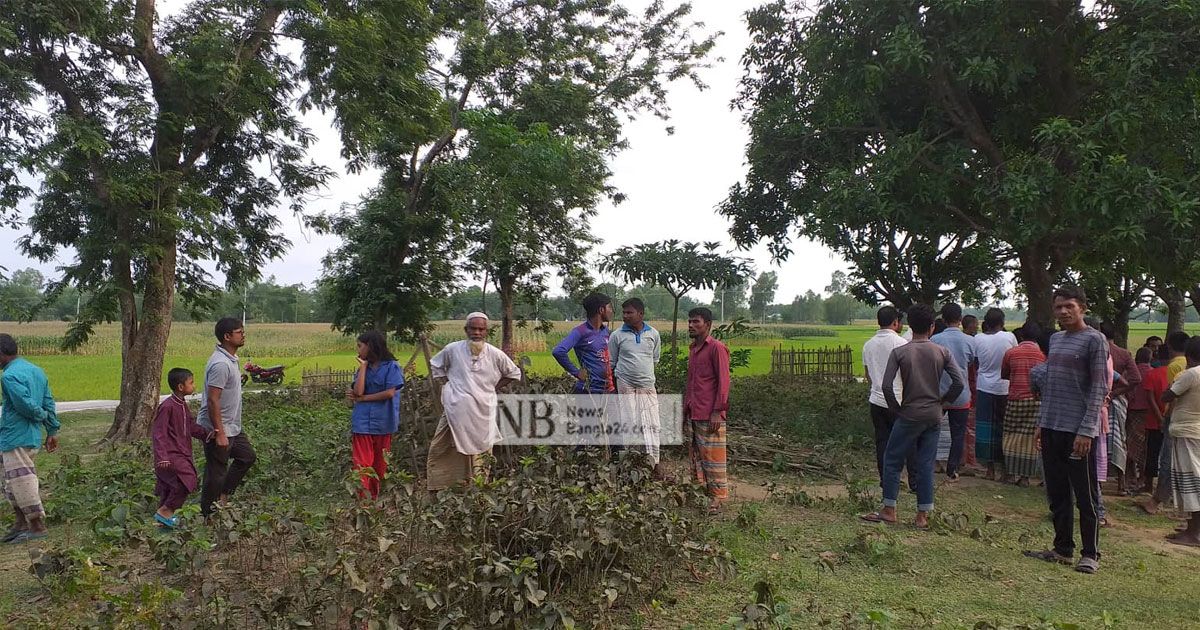 কবর থেকে ১৫ কঙ্কাল ‘চুরি’