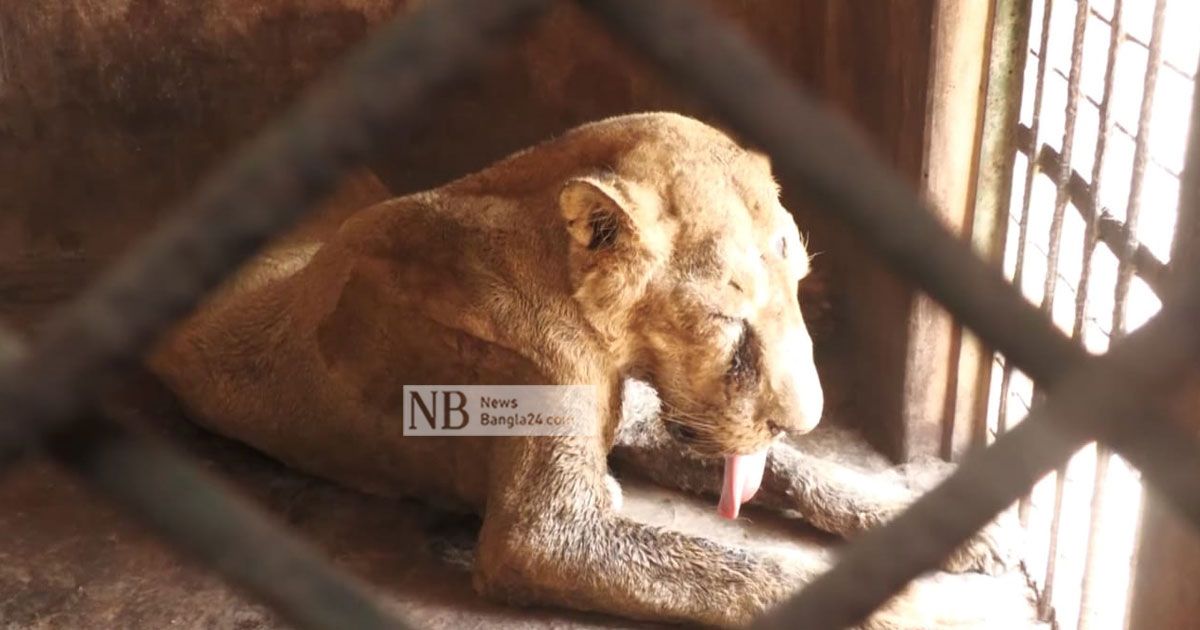 ক্ষত নিয়ে চলে গেল নদী