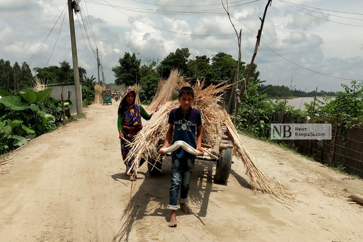 প্রচণ্ড তাপ উপেক্ষা করে পাটখড়ি শুকিয়ে নিয়ে বাড়িতে ফিরছেন মা-ছেলে। ছবিটি কুড়িগ্রাম শহর রক্ষা বন্যানিয়ন্ত্রণ বাঁধ এলাকা থেকে তোলা। ছবি: নাজমুল হোসেন/নিউজবাংলা