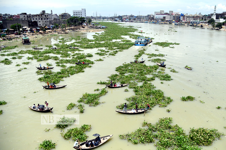 কচুরিপানার জন্য নদীতে খেয়া পারাপার ও লঞ্চ চলাচলে ঝুঁকি বাড়ছে। প্রায় সময় দেখা যায় এক নৌকা আরেক নৌকার সঙ্গে ধাক্কা লাগে। ছবিটি বুড়িগঙ্গা নদী থেকে তোলা। ছবি: সাইফুল ইসলাম 