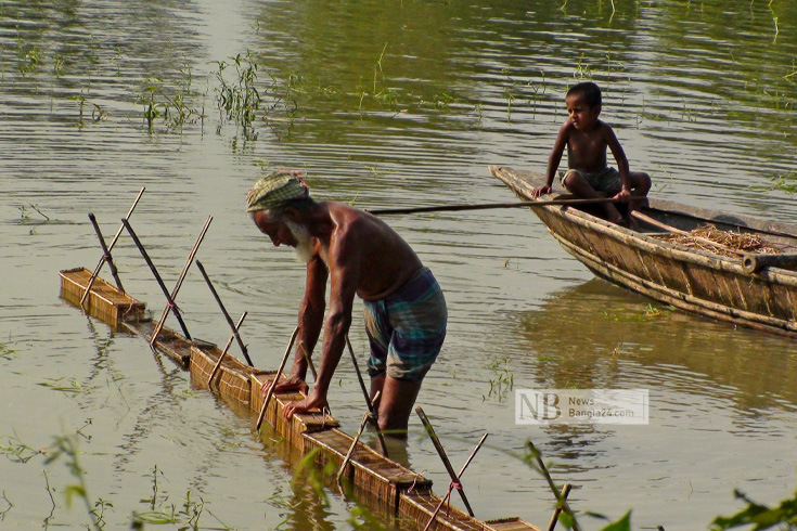 নতুন পানিতে বাশের ডিয়ার ফেলে মাছ ধরার চেষ্টা করছেন জব্বার মিয়া, তাকিয়ে দেখছেন নাতি। ছবিটি টাঙ্গাইল সদরের চারাবাড়ি থেকে তোলা। ছবি: শামীম আল মামুন/নিউজবাংলা
