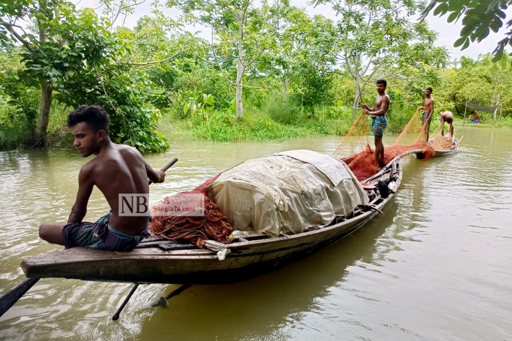 ভরা বর্ষায় ঝালকাঠির বিল অঞ্চলে মাছ ধরায় ব্যস্ত সময় পার করছেন জেলেরা। ছবিটি ঝালকাঠির কির্তিপাশা ইউনিয়নের ভিমরুলী খাল থেকে তোলা। ছবি: হাসনাইন তালুকদার দিবস/নিউজবাংলা