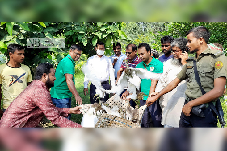 সিংড়ার চলনবিলে শিকারির কাছ থেকে উদ্ধার করা শতাধিক পাখি অবমুক্ত করেন নির্বাহী ম্যাজিস্ট্রেট রকিবুল হাসান ও পরিবেশকর্মীরা। ছবি: নাজমুল হাসান/নিউজবাংলা
