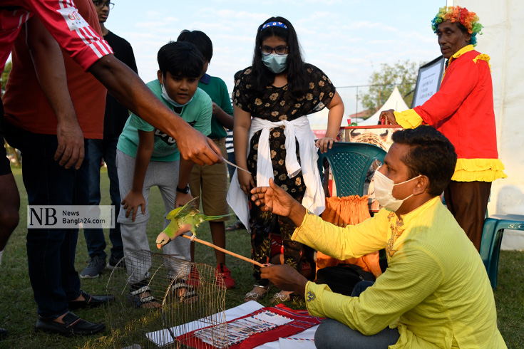 টিয়া পাখি দিয়ে ভাগ্য পরীক্ষার খেলা বহু পুরনো হলেও রাজধানীতে এর দেখা মাঝে মাঝে পাওয়া যায়। ছবিটি তিনশ ফিট এলাকা থেকে তোলা। ছবি: পিয়াস বিশ্বাস/ নিউজবাংলা