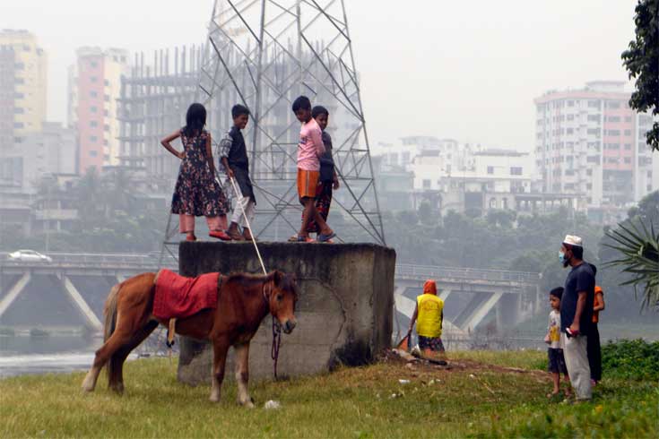 রাজধানীর হাতিরঝিল এলাকায় গৃহপালিত ঘোড়া নিয়ে খেলায় ব্যস্ত কয়েকটি শিশু। ছবি: পিয়াস বিশ্বাস