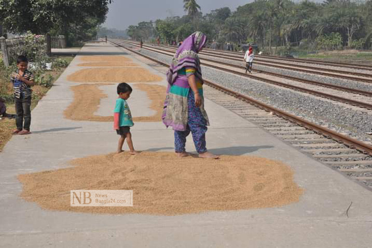 রোদে ধান শুকাচ্ছেন মা। দ্রুত শুকাতে পা দিয়ে নেড়ে দিচ্ছেন ধান। সঙ্গে শিশুটিও মায়ের কাজে সাহায্য করছে। ছবিটি জেলার বোয়ালমারী রেলস্টেশনের প্ল্যাটফর্ম থেকে তোলা। ছবি: নিউজবাংলা