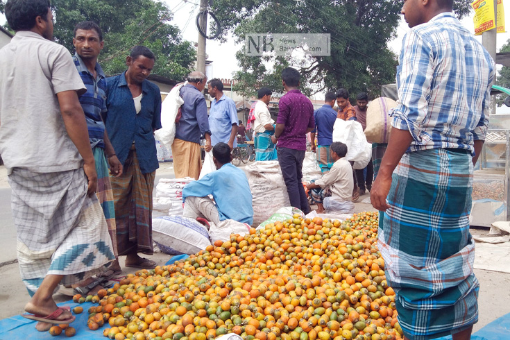 ভালো আবহাওয়া এবং গুণগত জাতের কারণে কাঁচা সুপারির কদর রয়েছে পঞ্চগড়ে। জেলা শহরের জালাসি এলাকায় সুপারি হাটে সুপারি কেনাবেচায় ব্যস্ত ক্রেতা-বিক্রেতারা। ছবি: হোসেন রায়হান/নিউজবাংলা