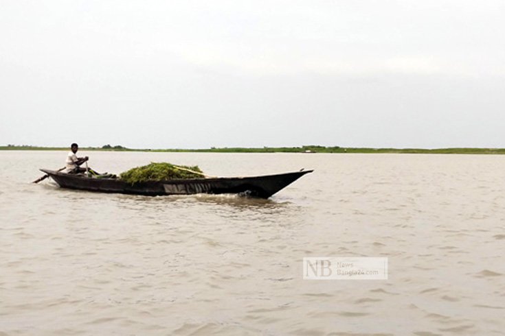 বগুড়ার সারিয়াকান্দির হাটে-বাজারে পশুখাদ্য হিসেবে বেশ চাহিদা রয়েছে যমুনা নদীর চরের ঘাসের। নদীপারের মানুষের জন্য এটি একটি লাভজনক ব্যবসা। ছবিটি সারিয়াকান্দির কর্নিবাড়ী ইউনিয়নের মথুরাপাড়া এলাকা থেকে তোলা। ছবি: আসাফ-উদ-দৌলা নিওন/নিউজবাংলা