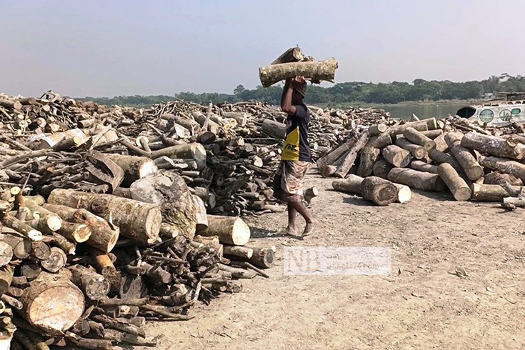প্রশাসনের তদারকির অভাবে নির্বিঘ্নে মাদারীপুরের প্রায় সব ইটভাটায় কাঠ পুড়িয়ে তৈরি করা হচ্ছে ইট। এতে একদিকে পরিবেশের মারাত্মক ক্ষতি হচ্ছে, অন্যদিকে উজাড় হচ্ছে বন-জঙ্গল। ছবিটি সদর উপজেলার পাঁচখোলা এলাকায় এসবিএস ইটভাটা থেকে তোলা। ছবি: সাগর হোসেন তামিম/নিউজবাংলা