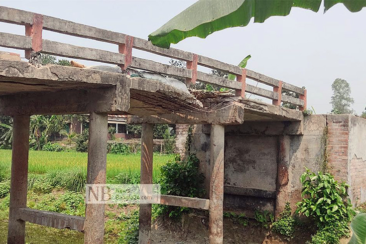সিরাজগঞ্জের রায়গঞ্জ উপজেলার নলকা ও নওদা শালুয়া খালের ওপরে নির্মিত সেতু ভেঙে পড়ায় জনদুর্ভোগ সৃষ্টি হয়েছে। বাধ্য হয়ে বাঁশের মাচাল দিয়ে চলাচল করছেন ওই এলাকার প্রায় ৪০টি গ্রামের মানুষ। ছবি: গোলাম মোস্তফা রুবেল/নিউজবাংলা
