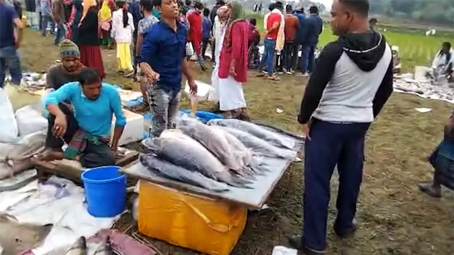 গাজীপুরের ঐতিহ্যবাহী জামাই মেলা