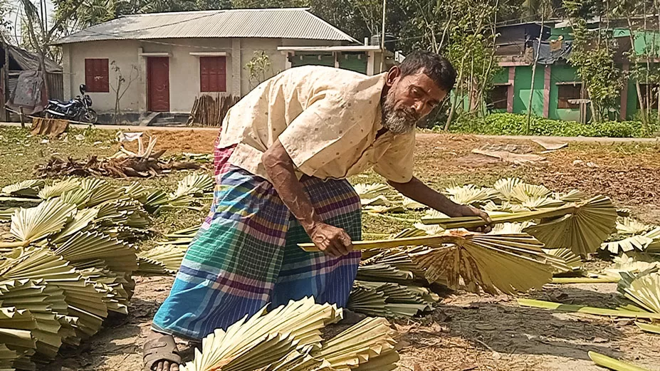 তেলের হিসাব মিলছে না তালপাখায়