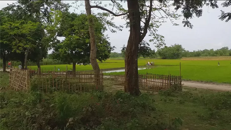 কবর থেকে ১৫ কঙ্কাল ‘চুরি’