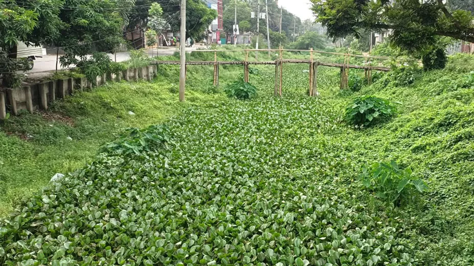 মানিকগঞ্জে খালভরা আবর্জনা 