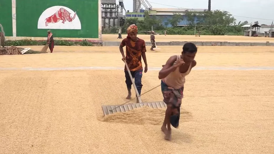 লাফিয়ে বাড়ছে চালের দাম