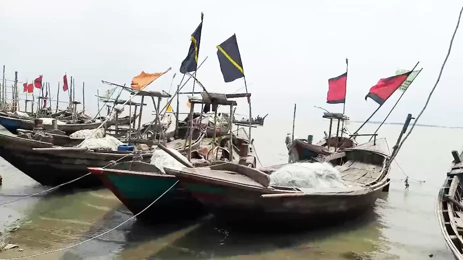 সাগরে গোপনে মাছশিকার