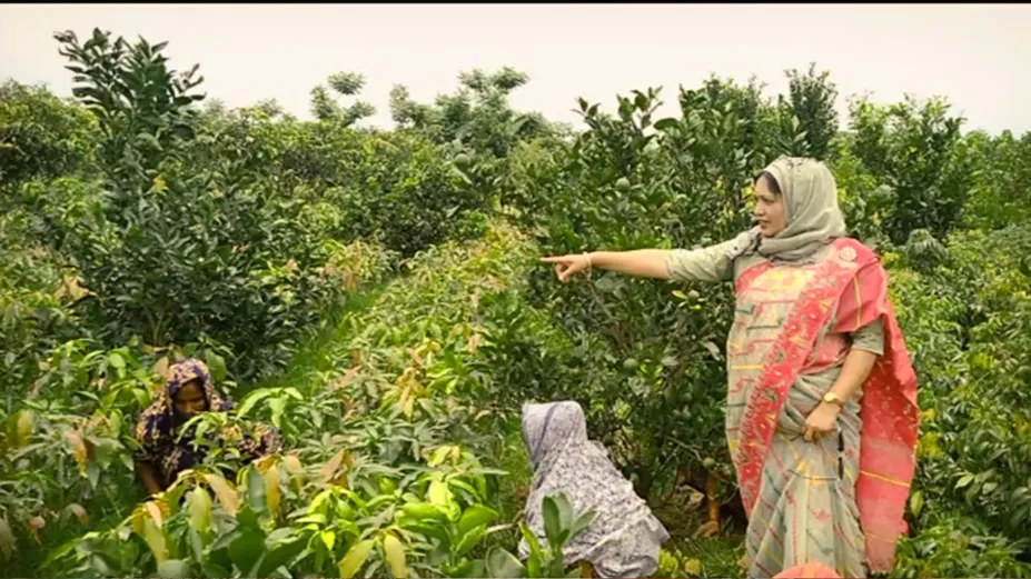 নার্সারিতে নারী উদ্যোক্তার সফলতা
