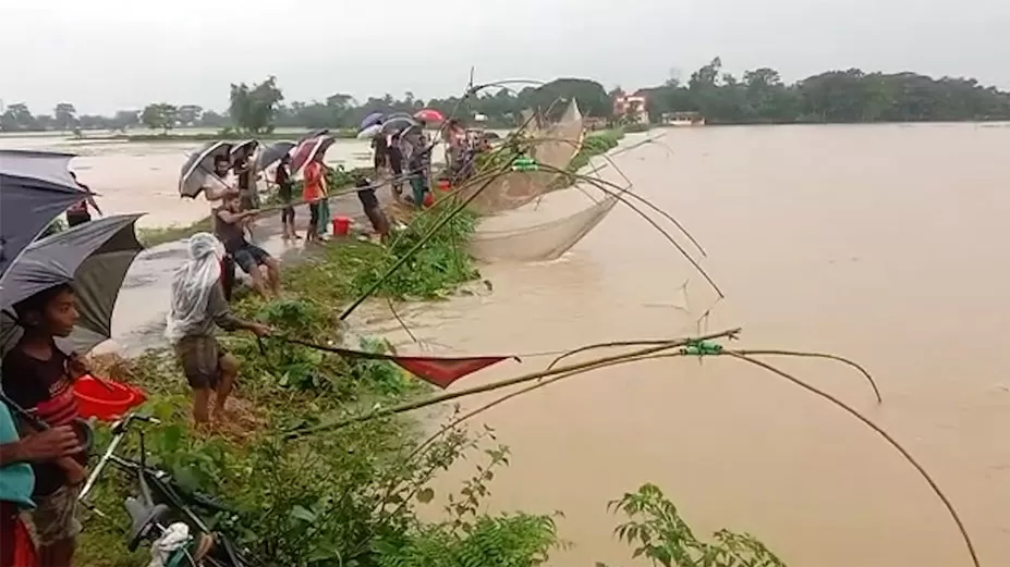 বন্যার পানিতে মাছ ধরার হিড়িক