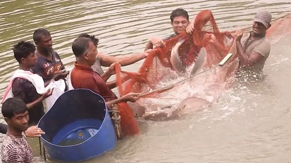 বিলুপ্ত প্রজাতির মাছ চাষে অভাবনীয় সাফল্য 