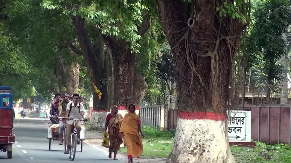 জামালপুরে ঝুঁকিতে অনেক গাছ