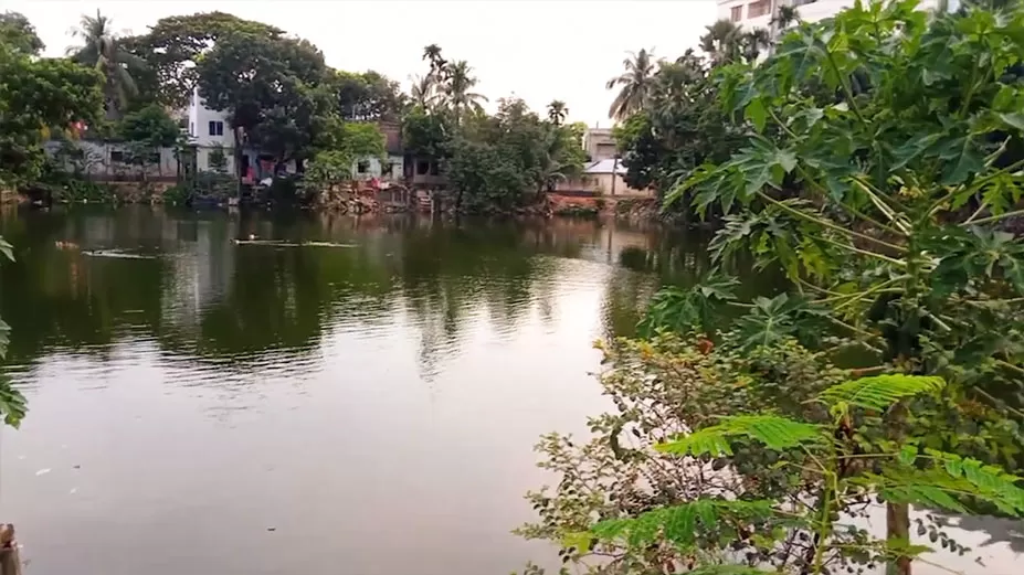 দখল ও দূষণমুক্ত শত বছরের মহেশ্বরী দিঘি 