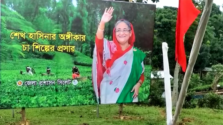 বিকেলে প্রধানমন্ত্রীর সঙ্গে বৈঠক, চা বাগানগুলোতে উৎসবের আমেজ
