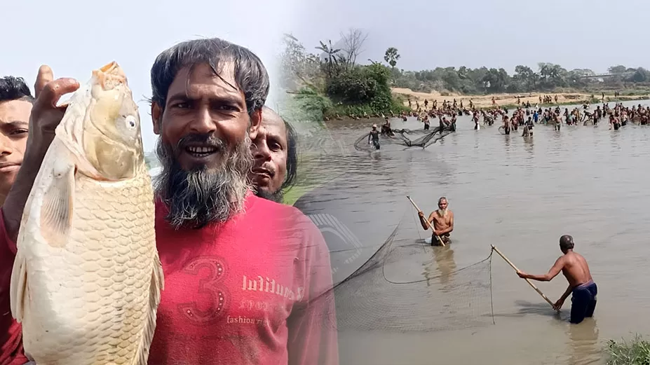 গোমতীর বুকে মাছ শিকারের উৎসব