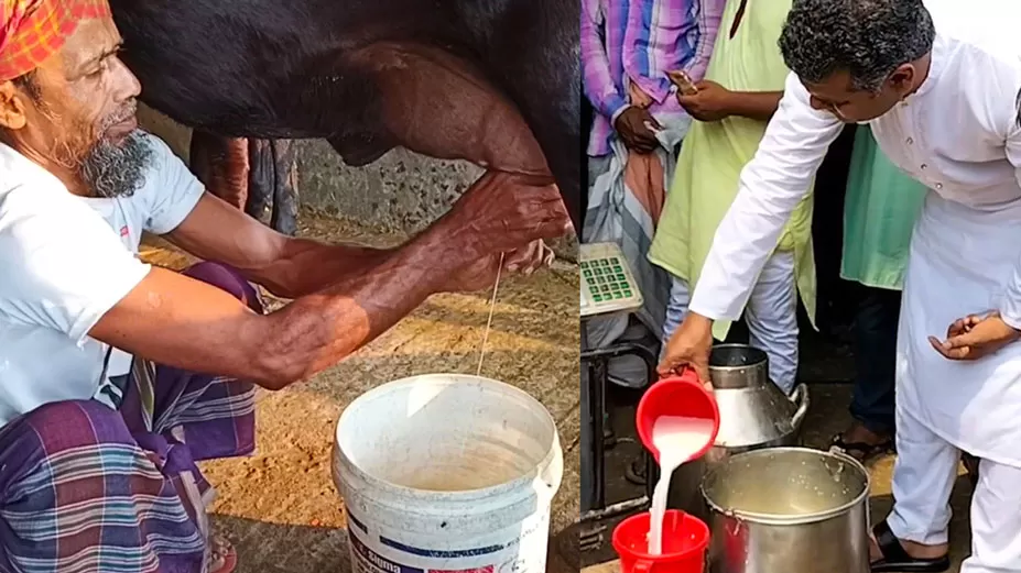মাত্র ১০ টাকা দরে দুধ বিক্রি! 