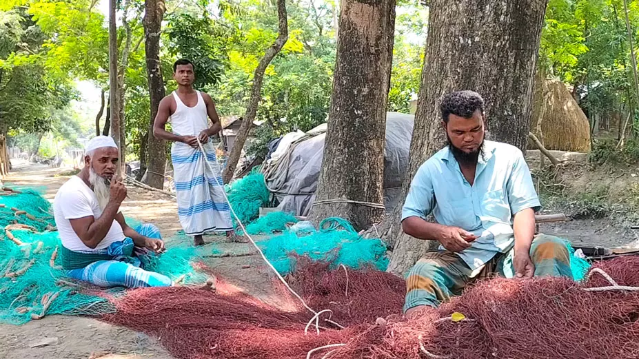 মধ্যরাতে শুরু হচ্ছে ইলিশ শিকার, রেকর্ড উৎপাদনের আশা