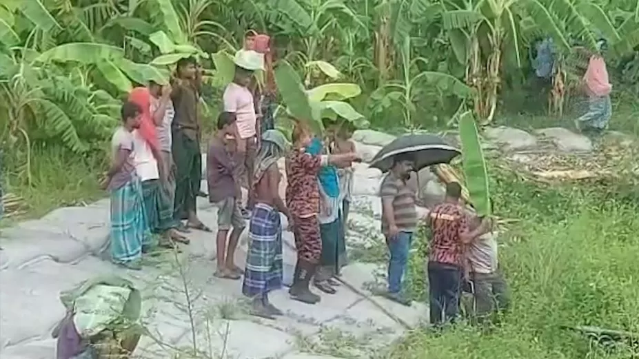 পদ্মায় কোরবানির গরুবোঝাই ট্রলারডুবি 