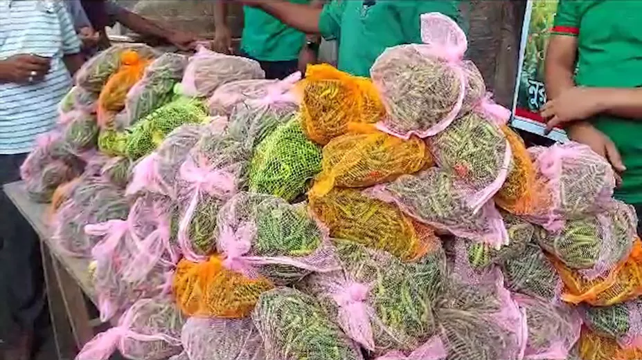 ১০০ টাকা কেজি কাঁচামরিচ! 