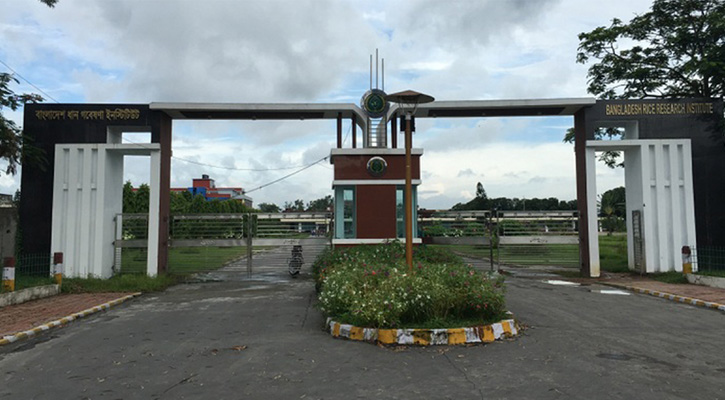 ধান গবেষণা ইনস্টিটিউটে নিয়োগ