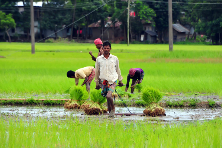 ভারতকে টেক্কা: বাংলাদেশের সাফল্যের কারণ কী