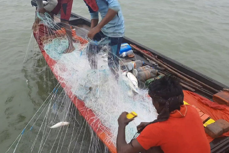 ঘুষে মিলছে ইলিশ শিকারের অনুমতি