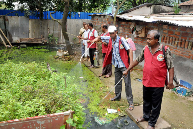 ডেঙ্গু-ঠেকাতে-ফের-শুরু-হচ্ছে-ডিএনসিসির-অভিযান