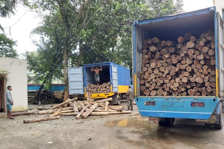 ‘১০ লাখ টাকার’ সেগুন কাঠ জব্দ