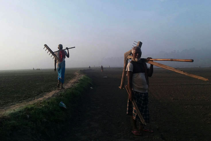 কুয়াশার-চাদরে-শীত-আসছে