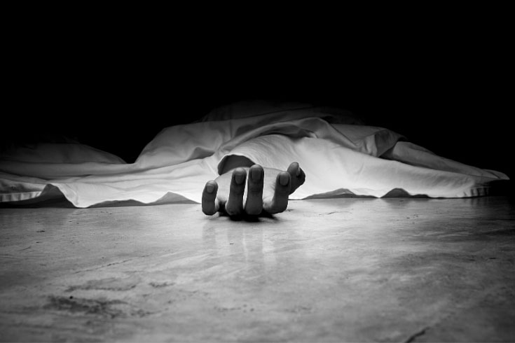 মালিককে হত্যা করে মহিষ চুরি