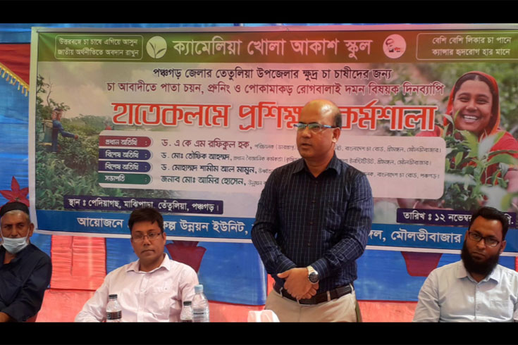 পঞ্চগড়ে-ক্ষুদ্র-চা-চাষিদের-জন্য-খোলা-আকাশ-স্কুল