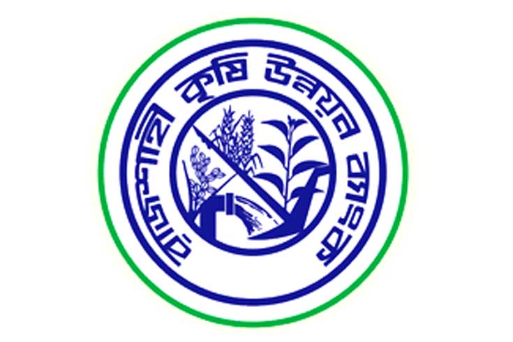 রাকাবের-৩৮৩-শাখার-২৪৬টিই-লোকসানে