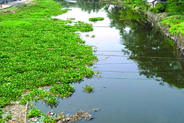 রূপসা নদীর পারে মানব ভ্রুণ