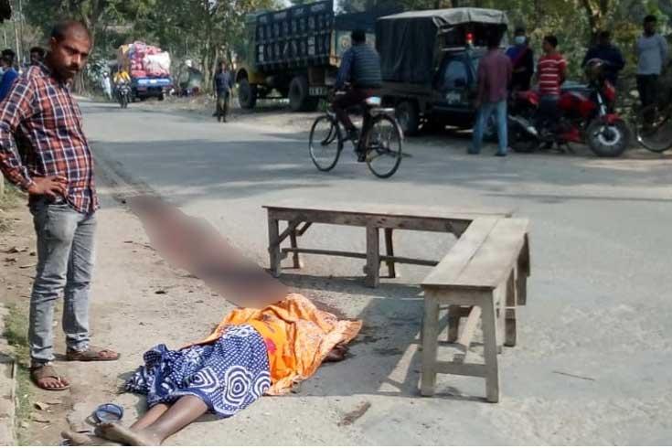 ট্রাকের-ধাক্কায়-বৃদ্ধার-মৃত্যু