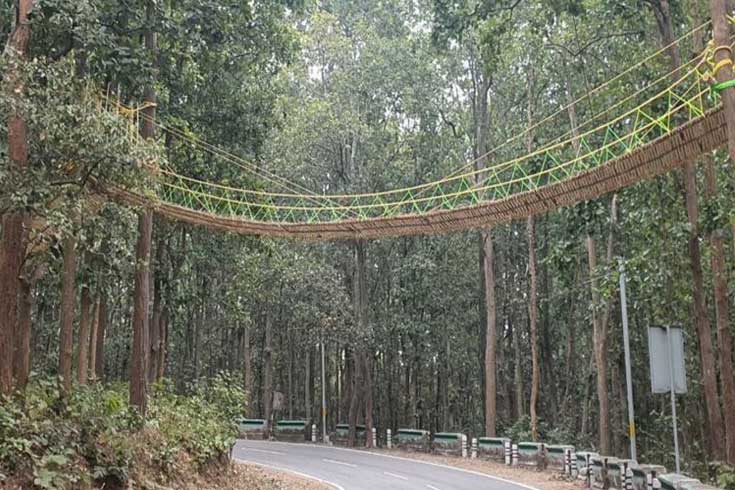 সাপ-টিকটিকির-জন্য-সেতু