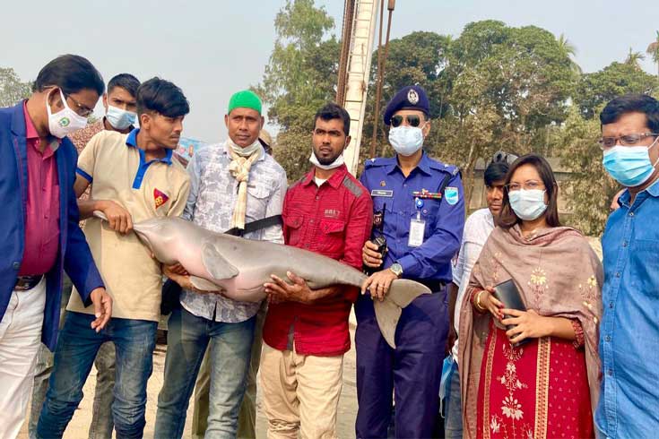 ডলফিন-অবমুক্ত-না-করায়-জরিমানা
