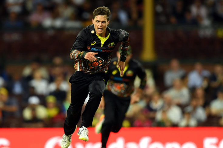 দুই স্পিনারের নৈপূণ্যে হোয়াইটওয়াশ এড়াল অস্ট্রেলিয়া