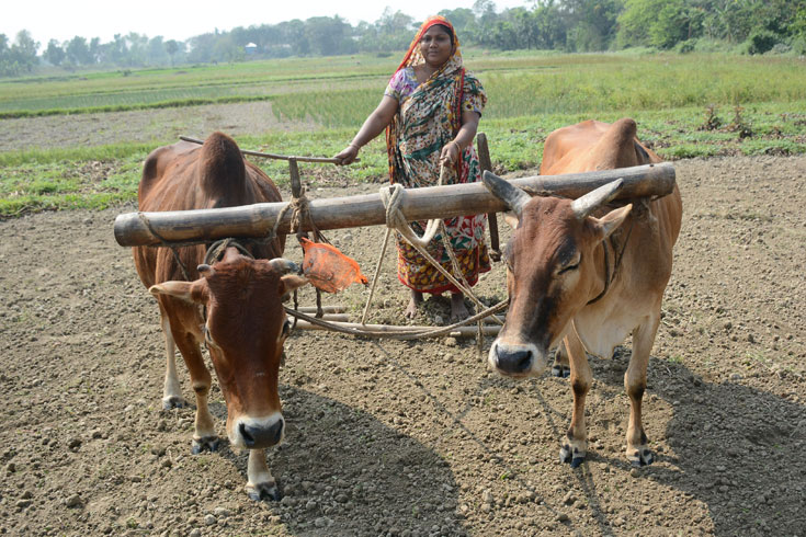 দক্ষিণ-এশিয়ায়-মাথাপিছু-জিডিপির-শীর্ষে-বাংলাদেশ